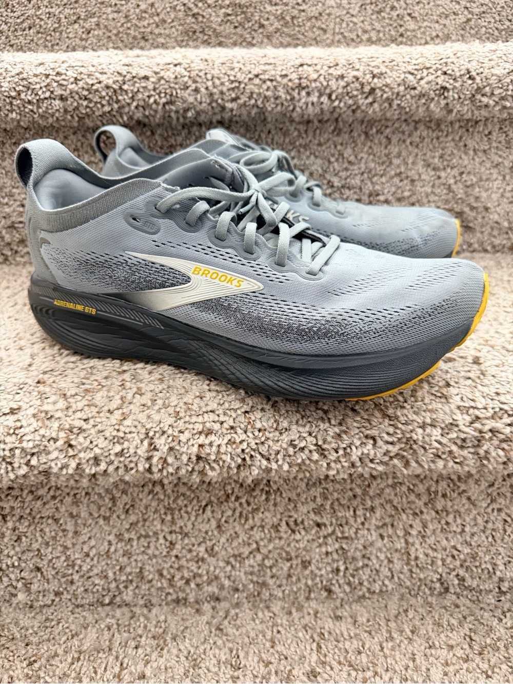Men’s Brooks Adrenaline GTS 12W running shoes